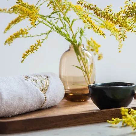 Гостевой дом Na Kmine Obristvi