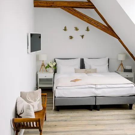 Guest house Na Kmine 4*