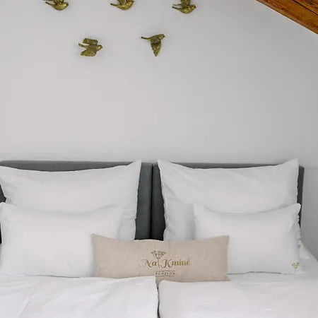 Na Kmine Guest house 4*